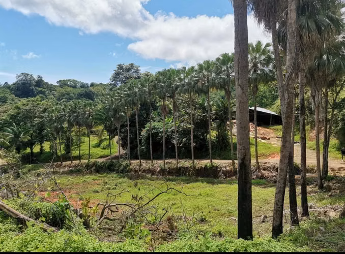 Propiedad en venta, cerca de la playa en Punta Mala, Osa, Puntarenas