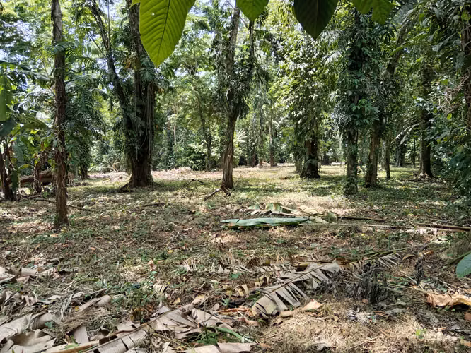 Quinta en Cahuita de Limón,
