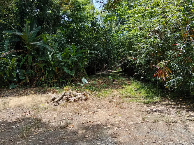 Quinta en Cahuita de Limón,
