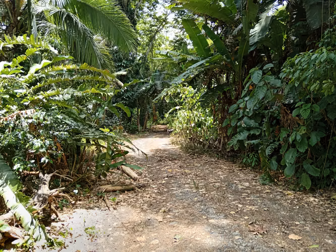 Quinta en Cahuita de Limón,