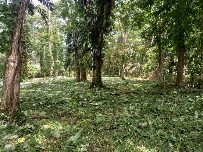 Quinta en Cahuita de Limón,