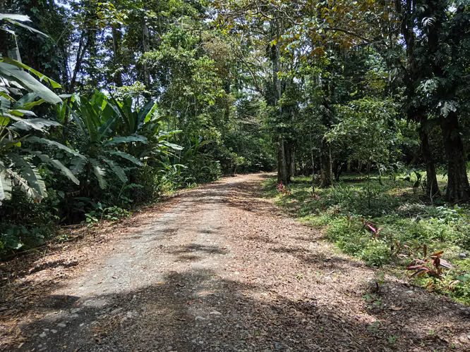 Quinta en Cahuita de Limón,