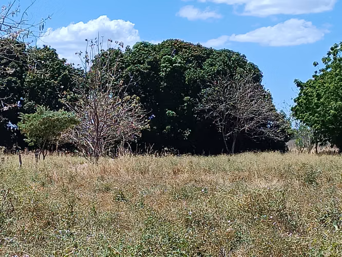 VENDO LINDO TERRENO COMUNIDAD DE CARRILLO - Imagen 7
