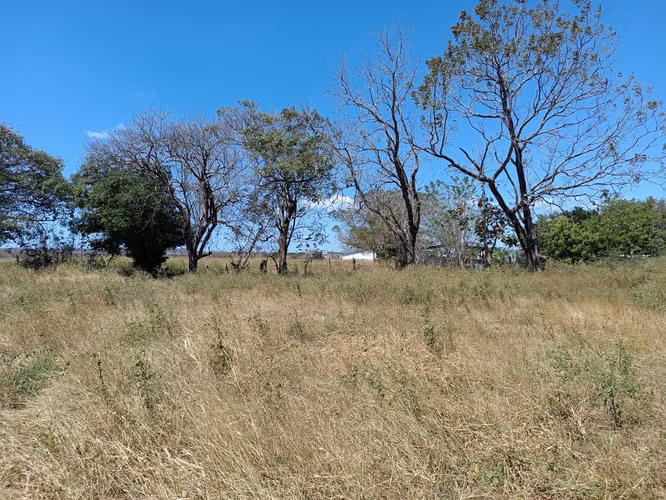 VENDO LINDO TERRENO COMUNIDAD DE CARRILLO - Imagen 4
