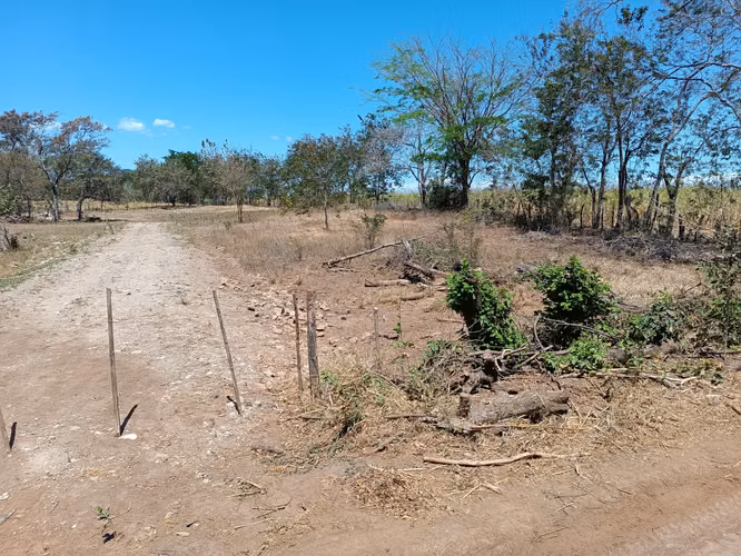 LOTE GUARDIA LIBERIA NACASCOLO