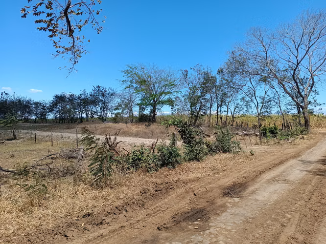 LOTE GUARDIA LIBERIA NACASCOLO