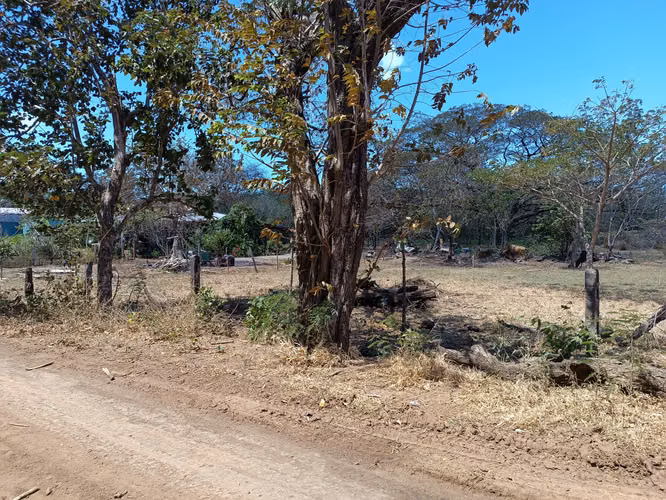 LOTE GUARDIA LIBERIA NACASCOLO