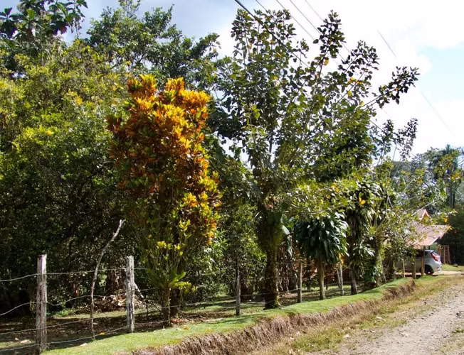 Quinta con 2 casas rurales