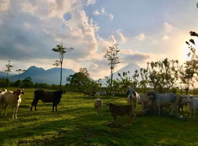 Quinta en San Pablo de Ciudad Quesada, San Carlos, Alajuela - Imagen 10
