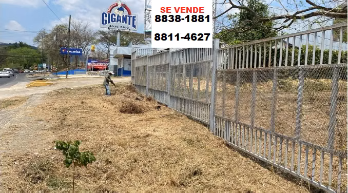 Terreno Comercial entrada principal Nicoya, Guanacaste