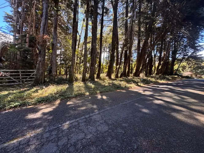 Venta de lote en El Tirol, Bosques del Monte, San Rafael de Heredia - Imagen 6