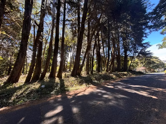 Venta de lote en El Tirol, Bosques del Monte, San Rafael de Heredia - Imagen 2