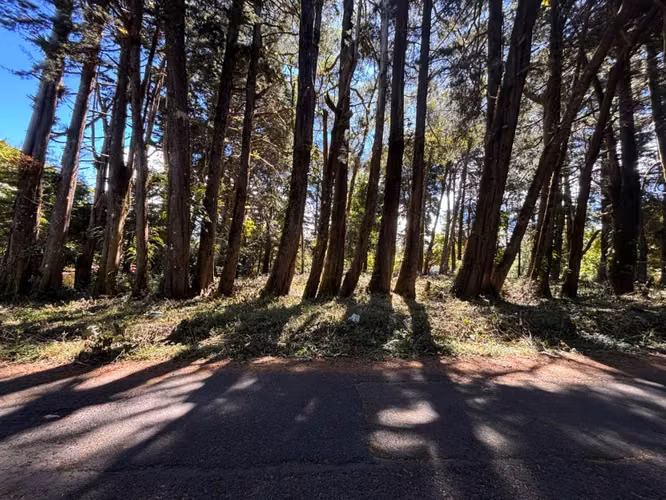 Venta de lote en El Tirol, Bosques del Monte, San Rafael de Heredia - Imagen 5