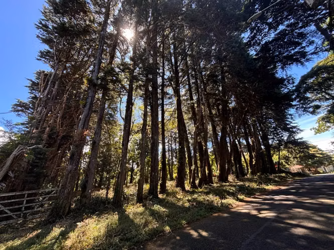 Venta de lote en El Tirol, Bosques del Monte, San Rafael de Heredia - Imagen 14