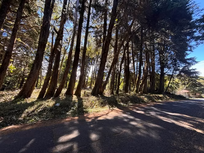 Venta de lote en El Tirol, Bosques del Monte, San Rafael de Heredia - Imagen 8