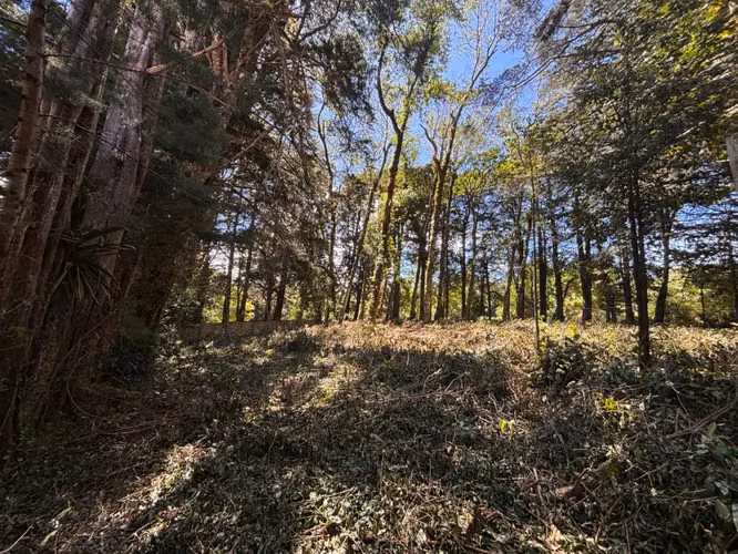 Venta de lote en El Tirol, Bosques del Monte, San Rafael de Heredia - Imagen 10