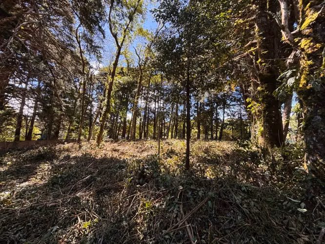 Venta de lote en El Tirol, Bosques del Monte, San Rafael de Heredia - Imagen 4