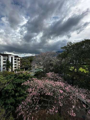 Amplio de Lujo en Escazu - Imagen 14
