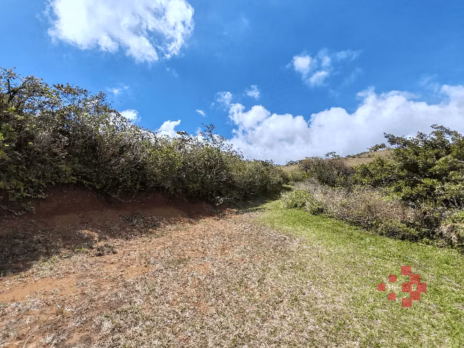 Venta de quinta con casa en Lago Arenal, Tilarán. - Imagen 19