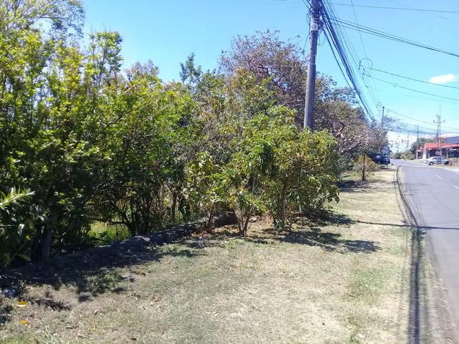 LINDO LOTE SAN LORENZO DE FLORES.