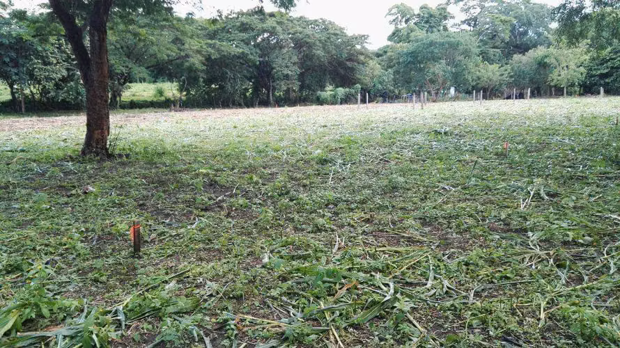 Venta de terrenos en Cañas Dulces, Liberia, Guanacaste