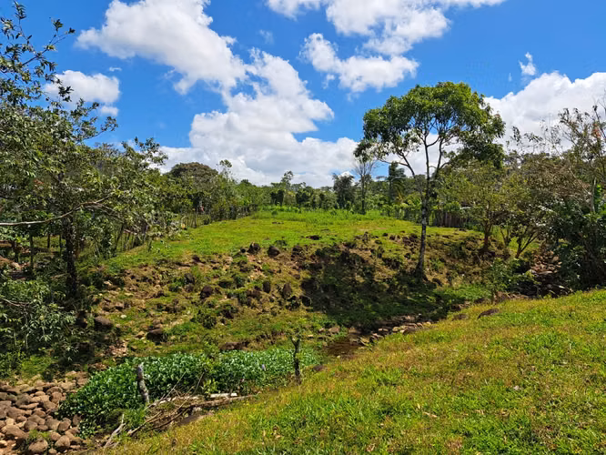 Terreno en Santa Rosa, La Palmera de San Carlos, Alajuela