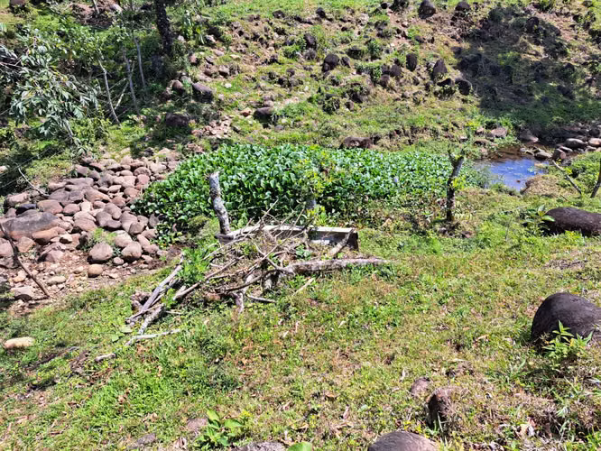Terreno en Santa Rosa, La Palmera de San Carlos, Alajuela