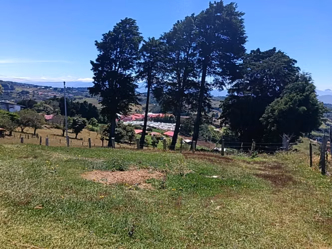 Casa En Venta, Zarcero.