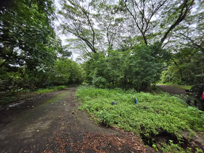 Terreno en Playa Agujas, Garabito,  Puntarenas - Imagen 6