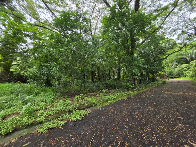 Terreno en Playa Agujas, Garabito,  Puntarenas - Imagen 9