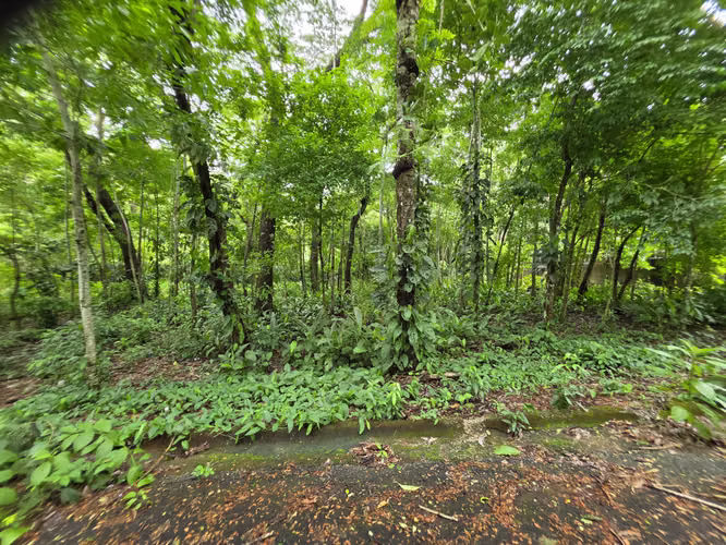 Terreno en Playa Agujas, Garabito,  Puntarenas - Imagen 3