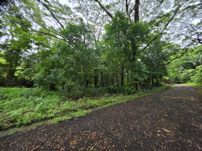 Terreno en Playa Agujas, Garabito,  Puntarenas - Imagen 5