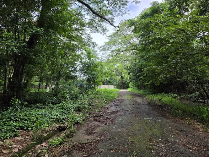 Terreno en Playa Agujas, Garabito,  Puntarenas - Imagen 10