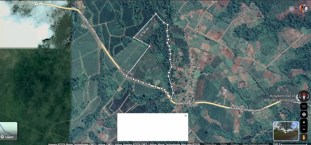 Finca en Venta Upala | 29.5 Hectáreas | 564 m Frente a Calle Pública | Ideal Ganadería o Agricultura
