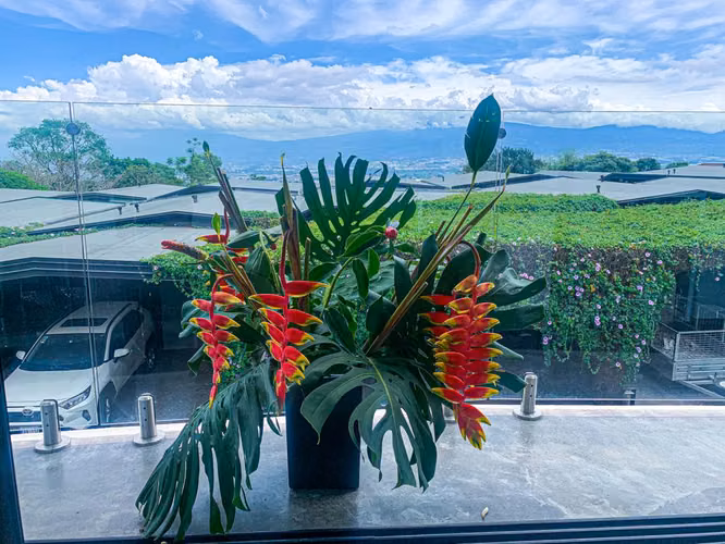 Casa Wellness con Apartamento en San Antonio de Escazu - Imagen 6