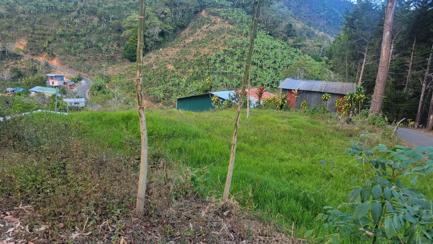 Terreno en venta – 305 m² en Llano Bonito de León Cortés | Sobre carretera nacional - Imagen 9