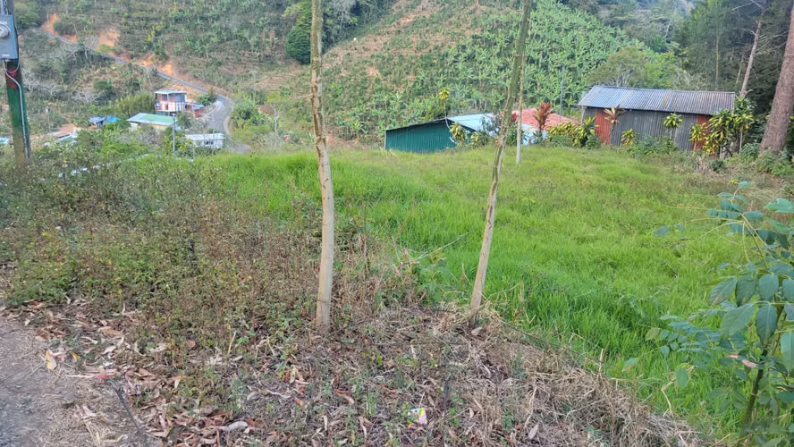 Terreno en venta – 305 m² en Llano Bonito de León Cortés | Sobre carretera nacional - Imagen 1