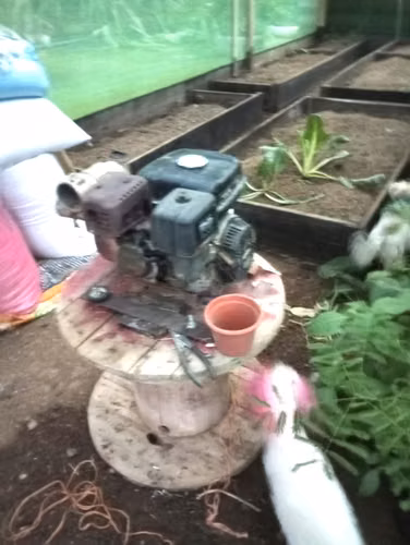 Venta finca Upala casa carro gallinas criollas - Imagen 8
