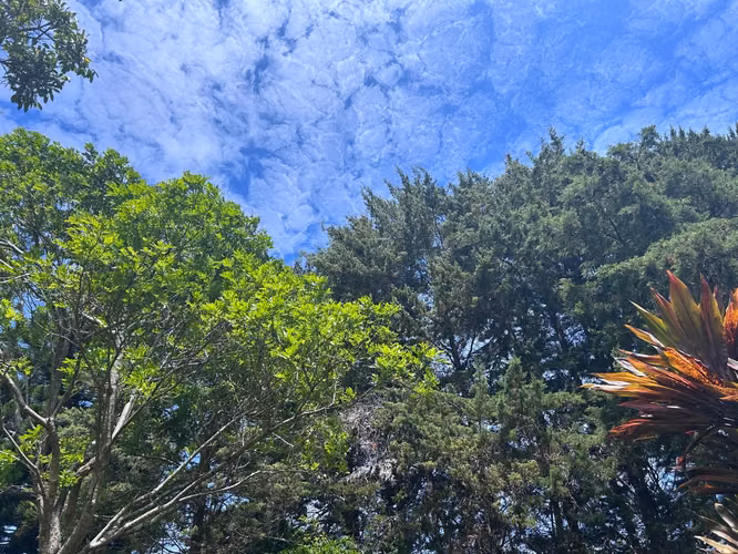 VENTA de Lote, San Rafael de Heredia MMV - Imagen 9