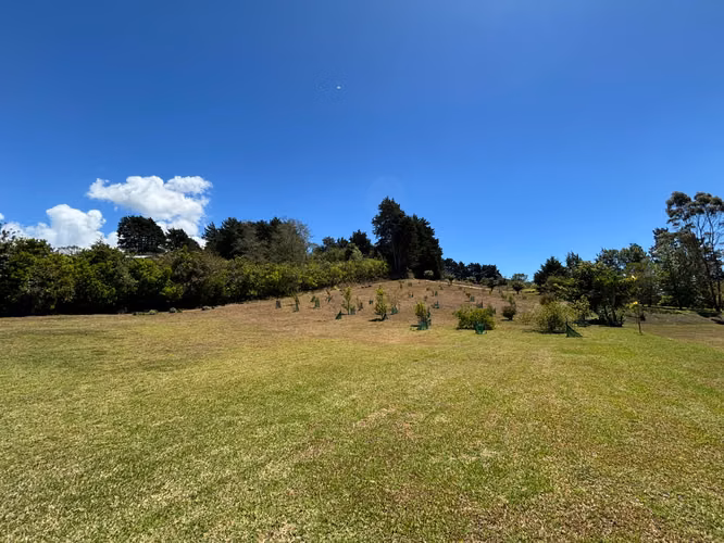 Venta Finca en la Angelina - Cartago ID5954