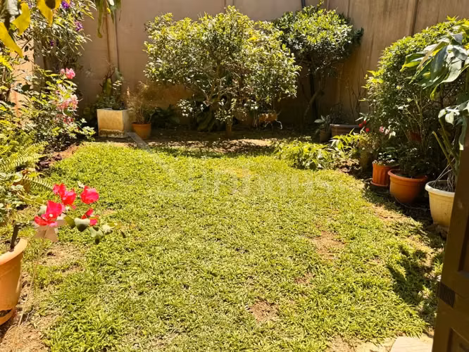 id 42142 En venta casa con habitación en planta baja y gran patio - Imagen 14