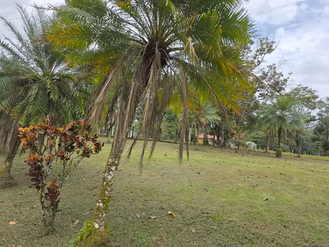 Casa con piscina y vista al Volcán Arenal | Ideal para Airbnb | San Carlos - Imagen 12