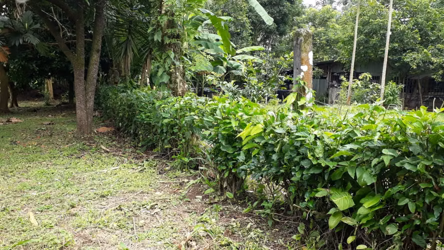 GANGA LA FORTUNA, venta terreno zona turistica