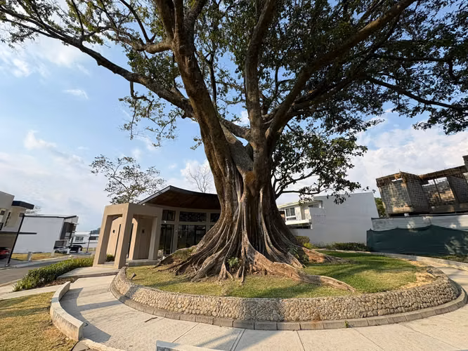 Lote en Venta en Condominio Santa Ana IP - Imagen 6