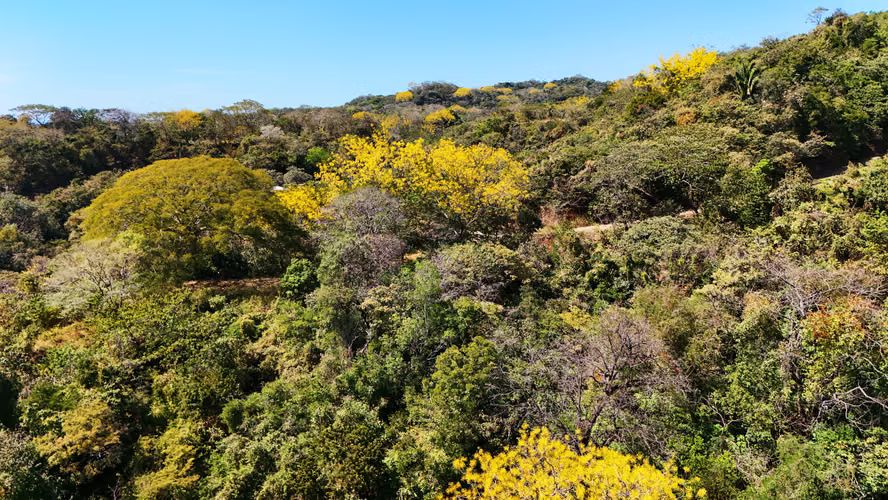 Se vende propiedad vista panorámica al mar en Nosara, Guanacaste (FB) - Imagen 6