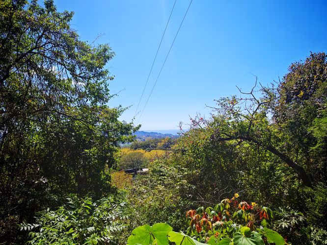 Se vende propiedad vista panorámica al mar en Nosara, Guanacaste (FB) - Imagen 10
