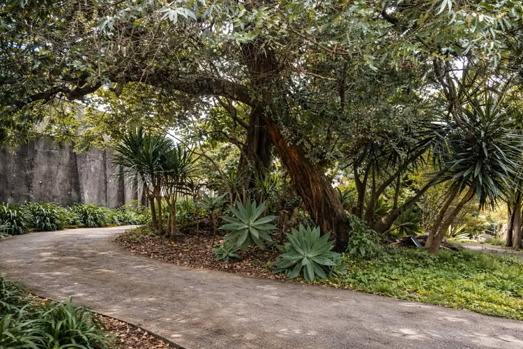 Terreno Privilegiado en Sabanilla Centro para desarrollar