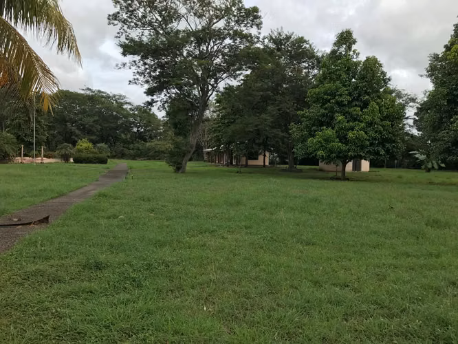oportunidad única en Carrillo  lista, uso mixto y muchísimo potencial.  Desarrollar? Invertir? - Imagen 8