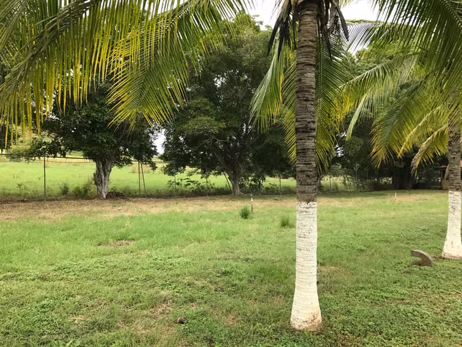 oportunidad única en Carrillo  lista, uso mixto y muchísimo potencial.  Desarrollar? Invertir? - Imagen 12