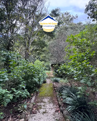TERRENO EN DESAMPARADOS, HIGUITO, CALLE RODILLAL, - Imagen 13
